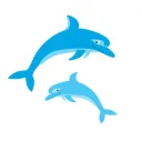 dolphintwo