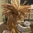 lazar_lazar