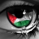 avatar Шарлин Вељковић  🇵🇸