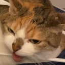 @p