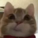 dluzy_