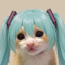 dluzy_