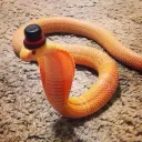 casper_4923