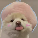 ayatigger