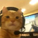 potatota