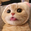 호민