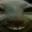 daevone