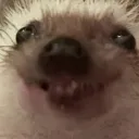 s0xyzje