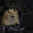 ozzyuji