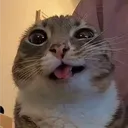 valkitta