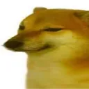 community profile picture