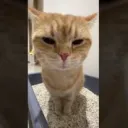 Аватар axis59.