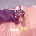 hueii
