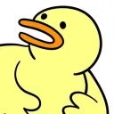 canyyon