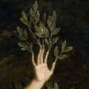 avatar ⋆⁺₊⋆ ☾Zee𖤓 ⋆⁺₊⋆