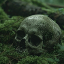 avatar 𖤐⋆˖⁺‧₊☽𝓩𝓮𝓮☾₊‧⁺˖⋆𖤐