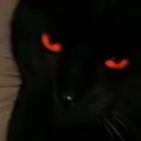 avatar 𝕱𝕬𝖀𝖃