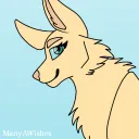 izzyfennec.