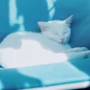 evi.vr
