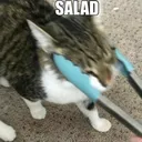 sadan.zip