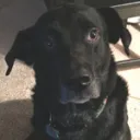 scottl48