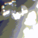 veninofficial
