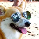 jacksonwarrior