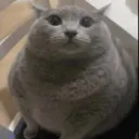 kitorlum