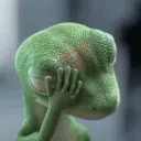 gecko432