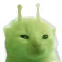 ziews