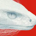 ribhet