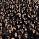 avatar Holy Monkey Man