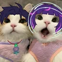 hachimaru_