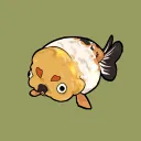 chanoli