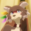 avatar Fox of the Kin <3
