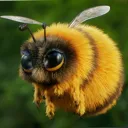 beebee4473