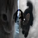 toqul