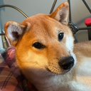 avatar CornishCheems