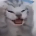 spikeberus