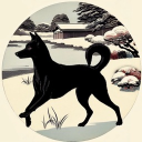 soranouk member profile picture