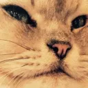 God of Bread 🍞's Avatar