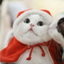 avatar ⌞𝑥𝑚𝑎𝑠 𝑘𝑘⌝