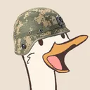 seawhite avatar