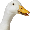 avatar ⚜JakubB1610⚜