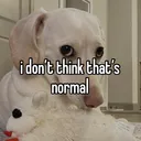 idontthinkthatsnormal