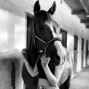 avatar 𝐉𝐮𝐧 𝐍𝐚𝐫𝐮𝐬𝐞