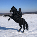 avatar 𝐉𝐮𝐧 𝐍𝐚𝐫𝐮𝐬𝐞