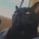 kiipism