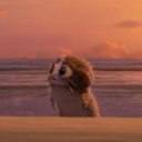 avatar ҉L҉o҉n҉i҉