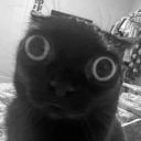 kaos7426#9559's avatar